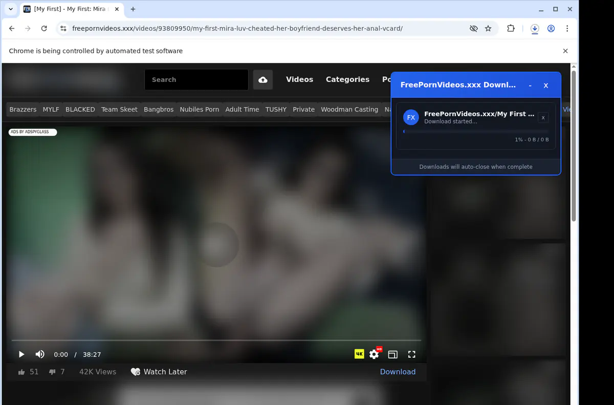 Freepornvideosxxx Video Downloader browser extension screenshot 2